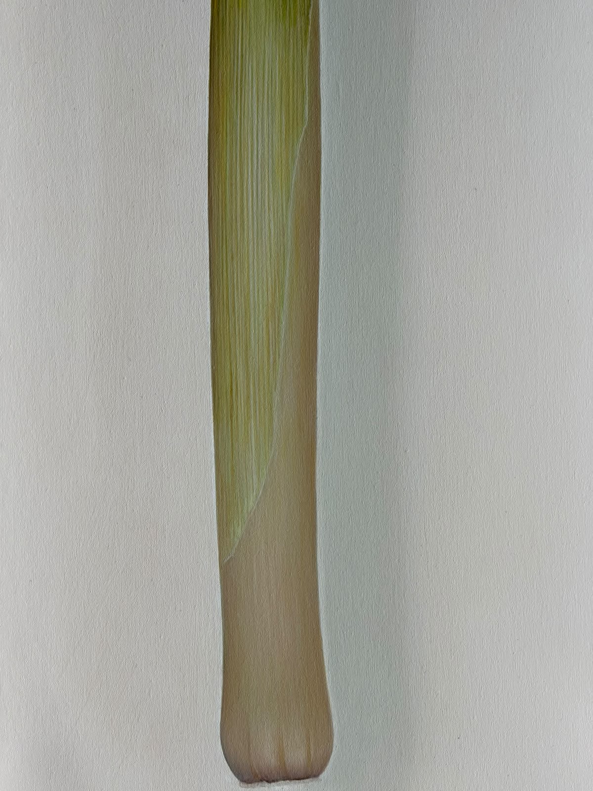 Gli indifferenti Ciampelli Lorella