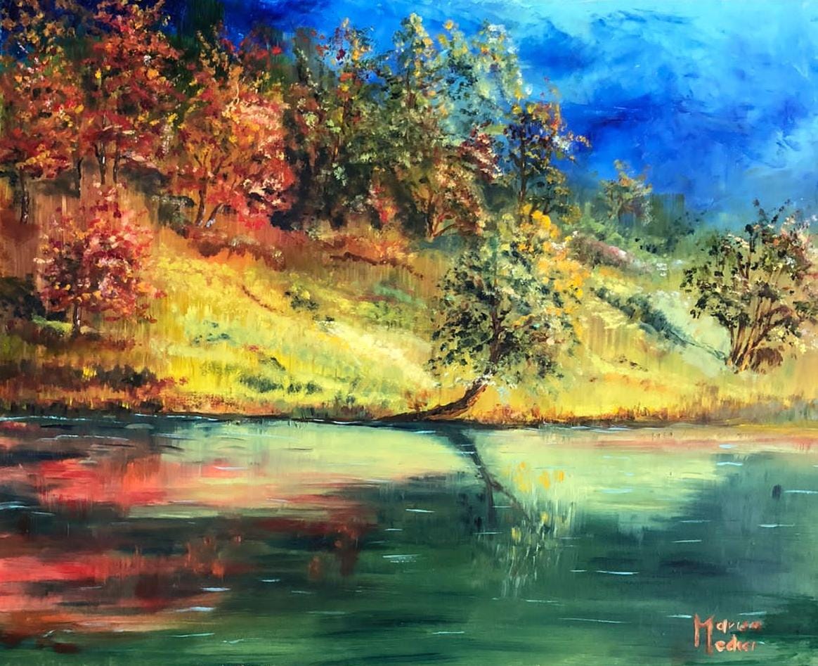 Lago nel bosco Medici Marisa