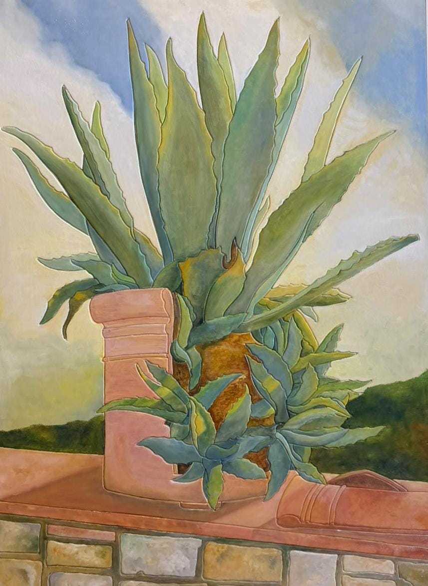 Aloe Tanzi Massimo