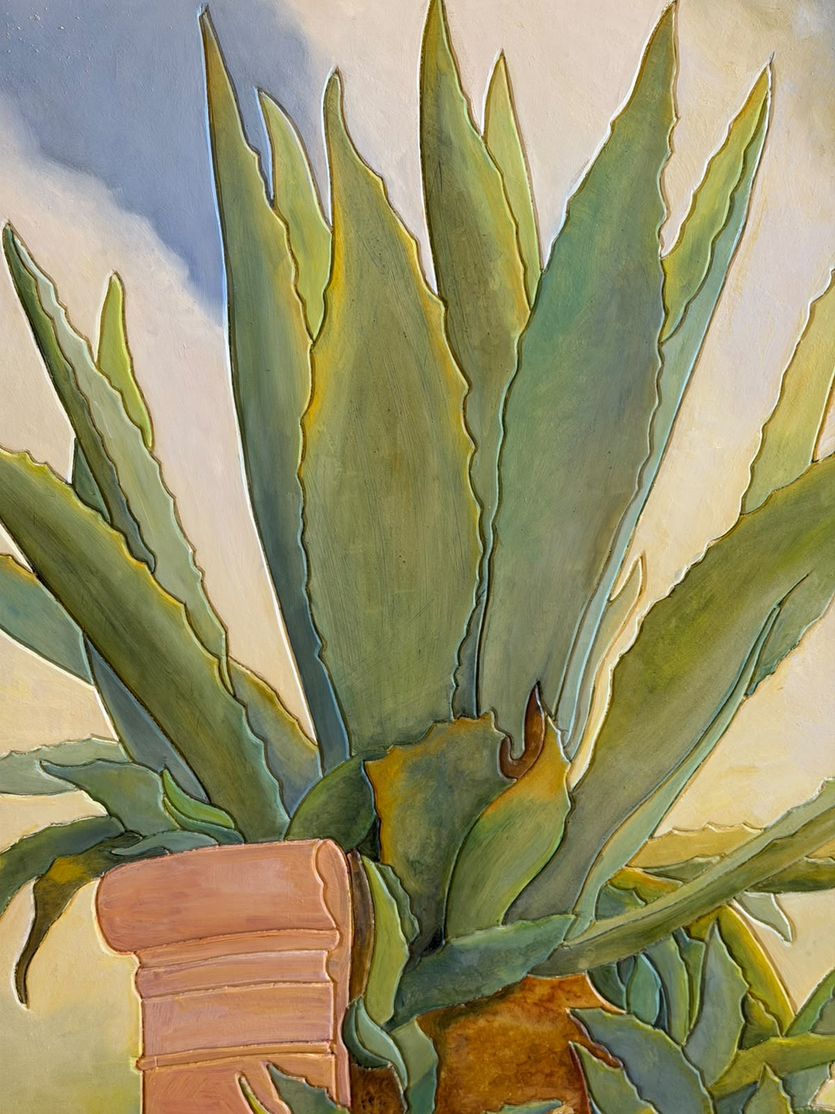 Aloe Tanzi Massimo
