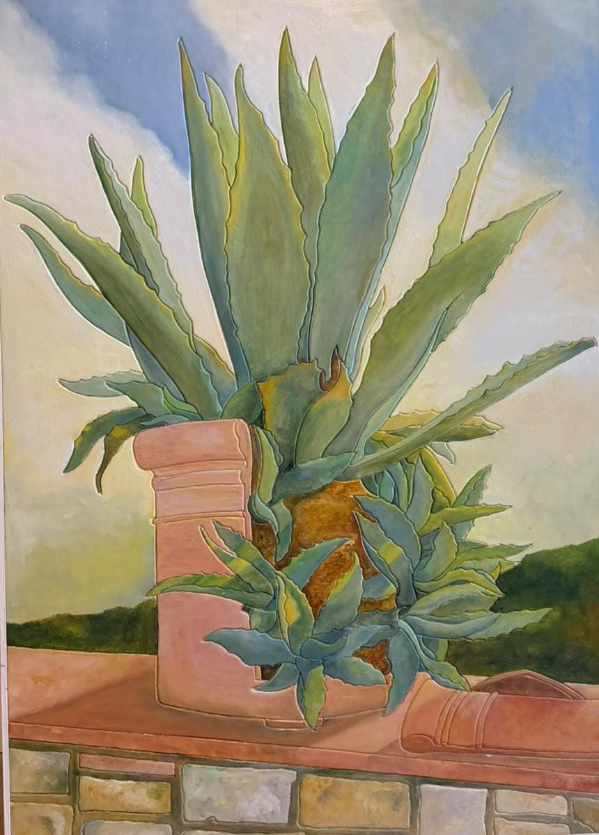 Aloe Tanzi Massimo