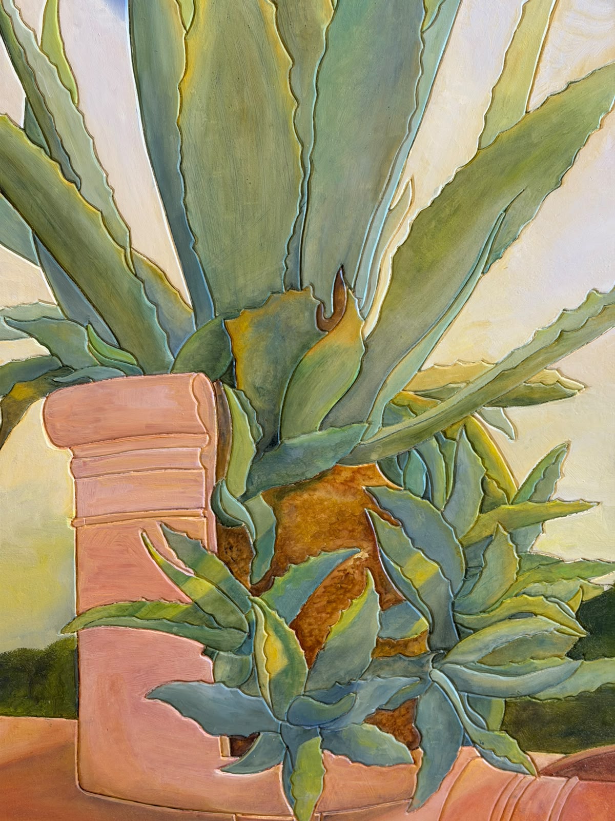 Aloe Tanzi Massimo