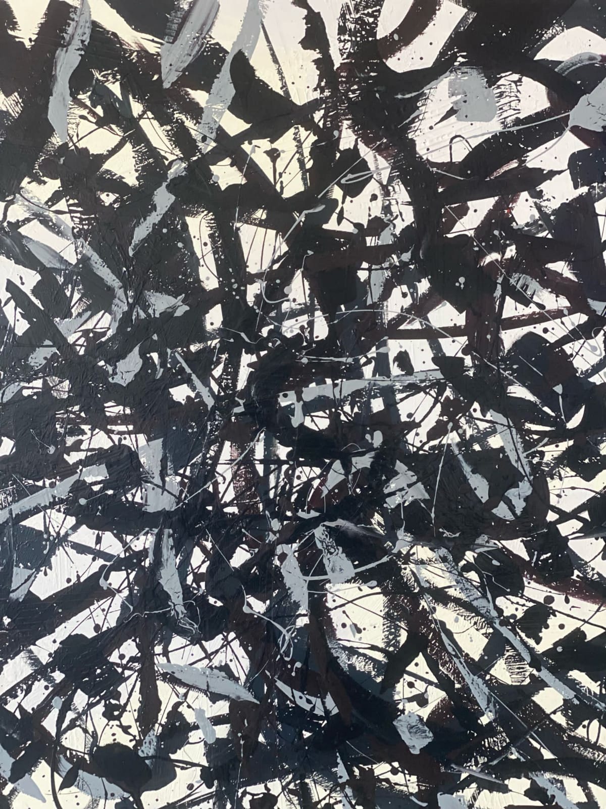 L'universo Parzianello Renato
